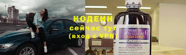 прущий лед Арсеньев