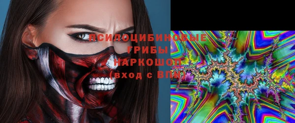 прущий лед Арсеньев