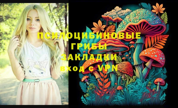 гидра Армянск