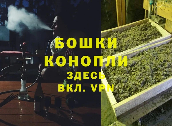 прущий лед Арсеньев